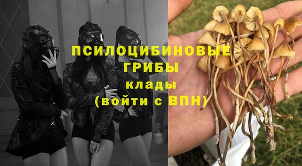 не бодяженный Богданович
