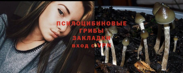 СК Верхний Тагил