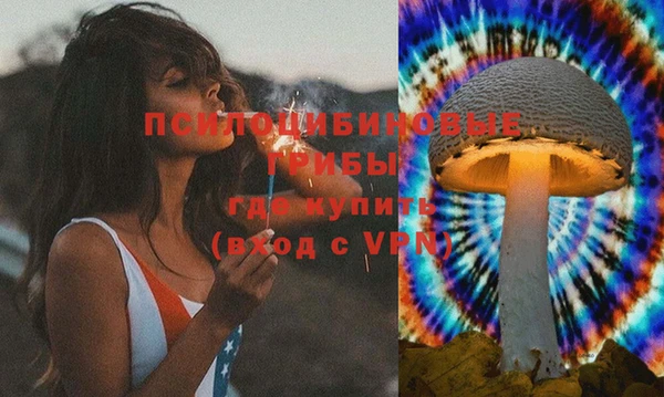 СК Верхний Тагил