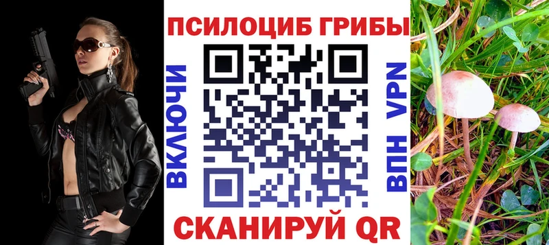 где можно купить наркотик  Старица  Галлюциногенные грибы мицелий 
